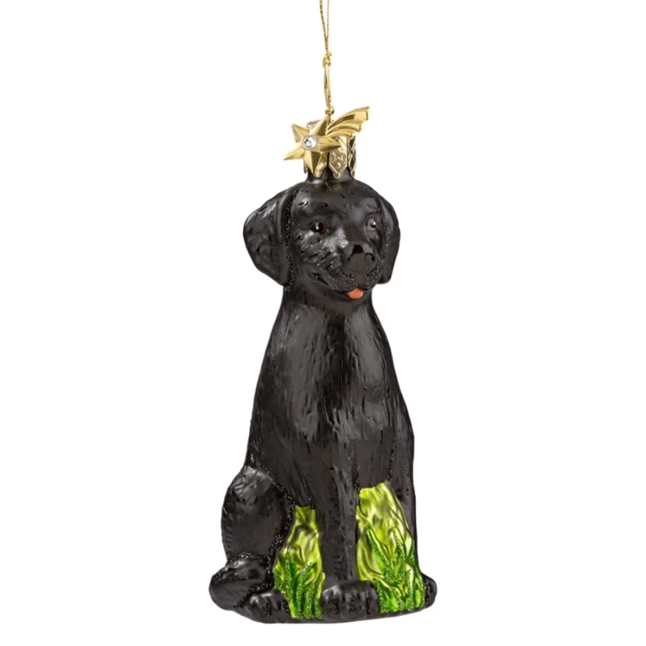 "Poesie in Glas Black Labrador Perfume – Elegant Scent for Men & Women"